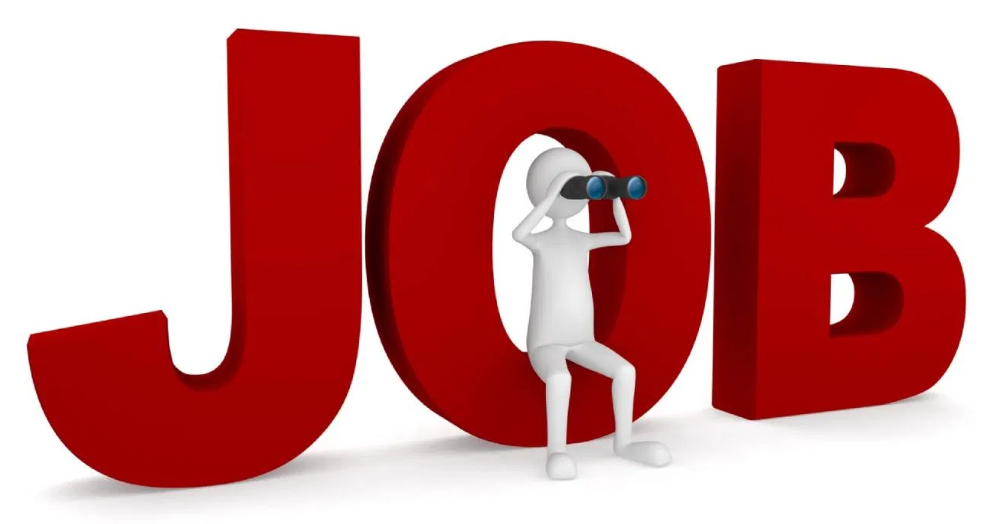 Vijayanagara ZP Recruitment 2026